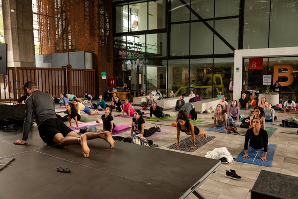  vivoyoga3