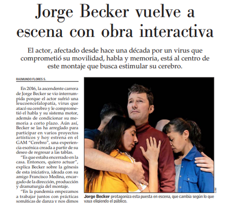 Cerebro el mercurio 15 mayo