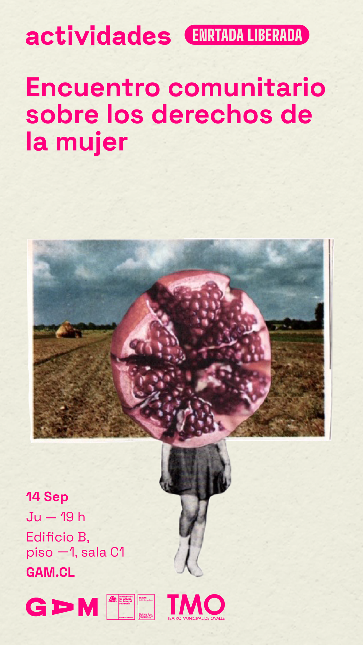 Encuentro_DDMM_flyer.png