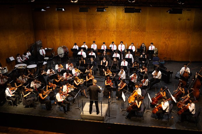 Orquesta Sinfónica Estudiantil Metropolitana (OSEM)
