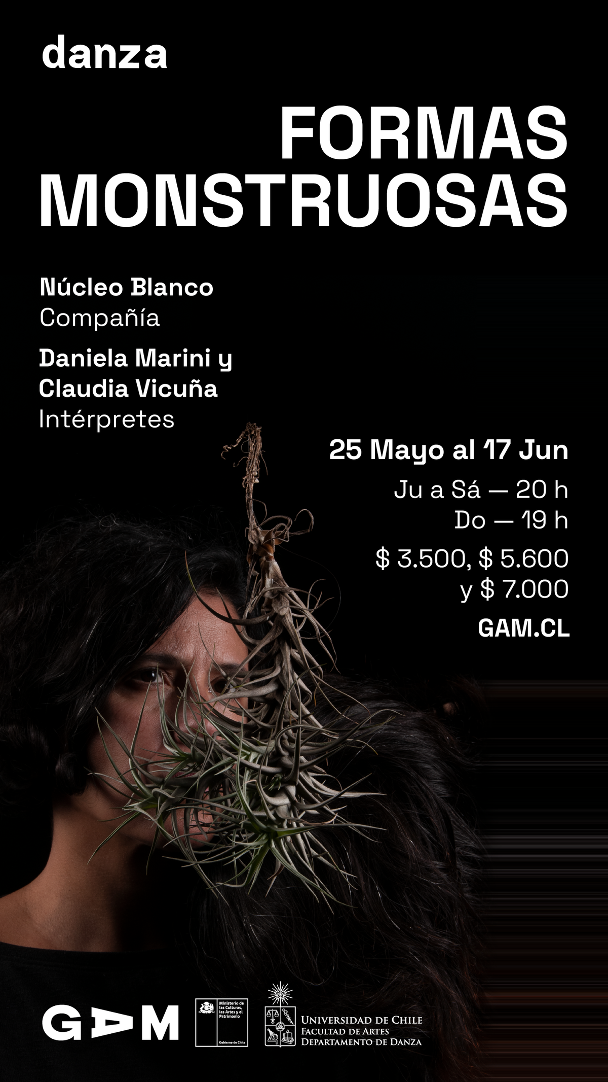 FormasMonstruosas_flyer.png