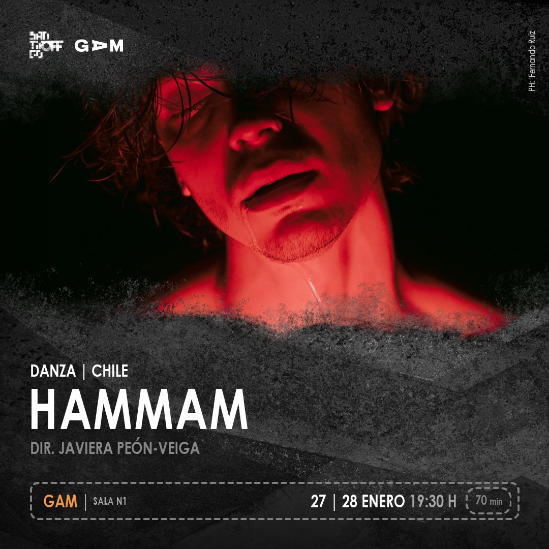 Hammam_1080x1080.jpg