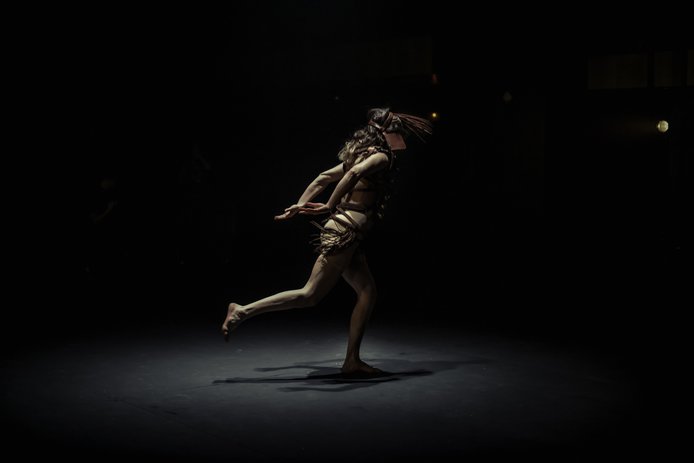 © Virginia Rota