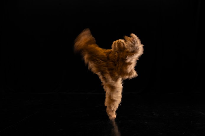 © Fran Razeto