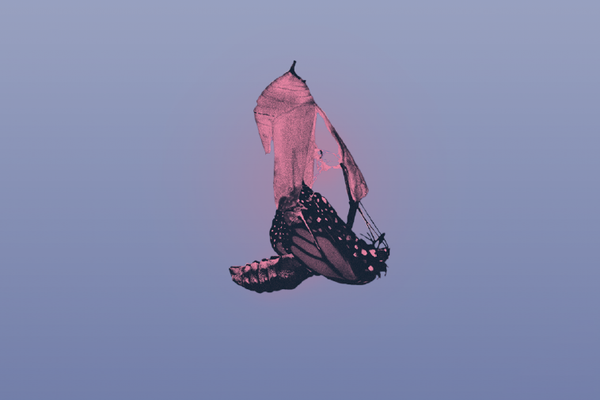  SCD_header.png