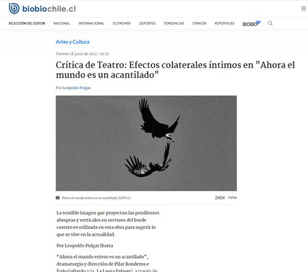 biobiochile.cl.jpg