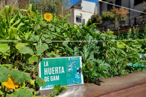  huerta22 (1).jpeg